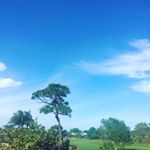 Profile Picture of Matthew Brandt (@mattbrandt2020) on Instagram