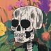 Profile Picture of Mike Bertino (@mikebertino) on Pinterest