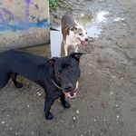 Profile Picture of Michael Stansberry (@mlchael0912) on Instagram