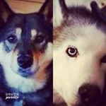 Profile Picture of Troy Lehmann (@troy_4_lehmann) on Instagram