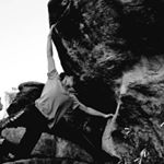 Profile Picture of Nathan Hingee (@weasel_hingee) on Instagram