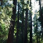 Profile Picture of Rob Luntzel (@robluntzel) on Instagram