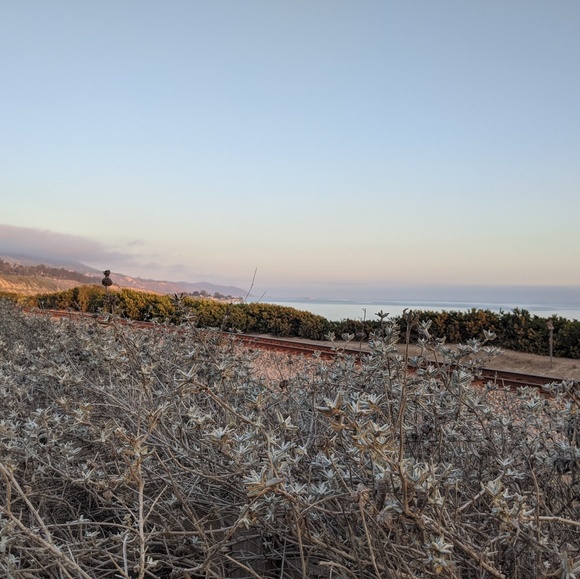 Profile Picture of Cara Spieler (@cspieler) on Poshmark