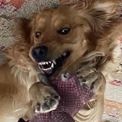 Bobby Mick - Tiktok Profile Picture of Bobby Mick (@@bobbymick0) on Tiktok