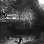 Profile Picture of George Araujo (@georgemachadonz) on Instagram