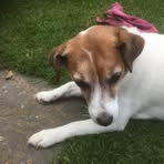 Profile Picture of Raymond Beeney (@Raymond-Beeney) on Facebook