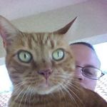 Profile Picture of Daniel Rumney (@repeat2400) on Instagram