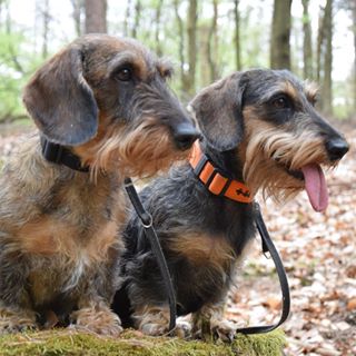 Profile Picture of Alicja Gromek (@alicja.gromek.7) on Facebook