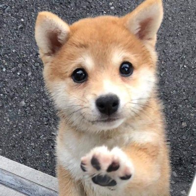 Dang Nguyen - Twitter Profile Picture of Dang Nguyen (@June18thy) on Twitter