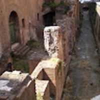 Profile Picture of Adam Yeung (@adam-yeung-11) on Quora