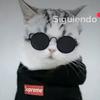 Profile Picture of videos de boca       la 12 (@@benjaminnicolasayalamar1) on Tiktok