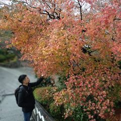 Profile Picture of Terry Wong (@terrywong8339) on Tiktok