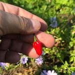 Jean-Pierre Lamarche - Instagram Profile Picture of Jean-Pierre Lamarche (@jeanpierre.lamarche.589) on Instagram