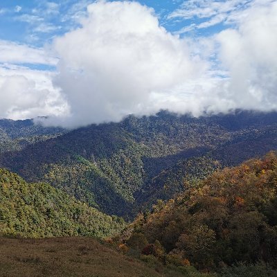 Profile Picture of Albert Tsang (@zengzhanqi) on Twitter