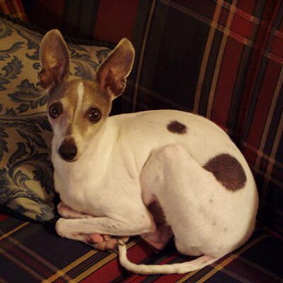 Profile Picture of Jason Margolies (@Argonaut15) on Twitter