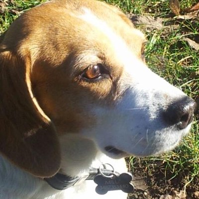 Profile Picture of Mario Pozzi (@mapoz54) on Twitter