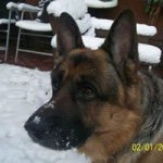 Profile Picture of Michelle Dennant (@shellydee321) on Instagram