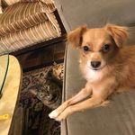 Profile Picture of Jasey and Jameson (@jjandjameson) on Instagram