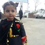 Profile Picture of کاری دەستی رانیا mari1 (@kare_dasty.rania) on Instagram