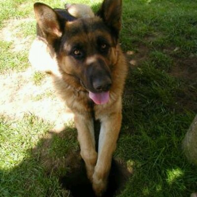 Profile Picture of Kim Doerr (@DoerrKim) on Twitter