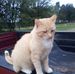 Profile Picture of Mark Bergmann (@mark.bergmann.33) on Facebook