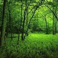 Profile Picture of Celine Gonzalez  Poncela (@celine9gonzalez) on Twitter