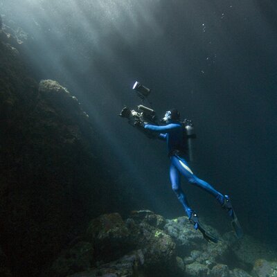 Profile Picture of Matthew Ferraro (@manfishmatt) on Twitter