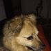 Profile Picture of Harry Werner (@harry.werner.315) on Facebook