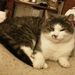 Profile Picture of Jacqueline Sleegers (@ingjphsleegers) on Pinterest