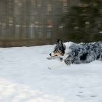 Profile Picture of Dixie Humphrey (@dixiehumphrey) on Instagram