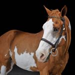 Profile Picture of alexkyger.photography (@alexkyger.photography) on Instagram