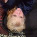 Profile Picture of Tabatha Perdue (@tabatha.perdue.5) on Facebook