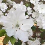 Profile Picture of Alex (@mua.alexdunaway) on Instagram