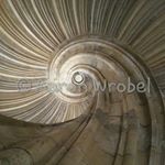 Profile Picture of Aaron Wrobel (@wrobler) on Instagram