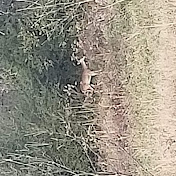 Profile Picture of Carl Parker (@carlparker1581) on Youtube