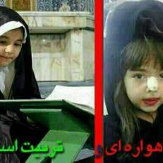 Profile Picture of Mahmood Reza (@mahmoodreza7) on Twitter