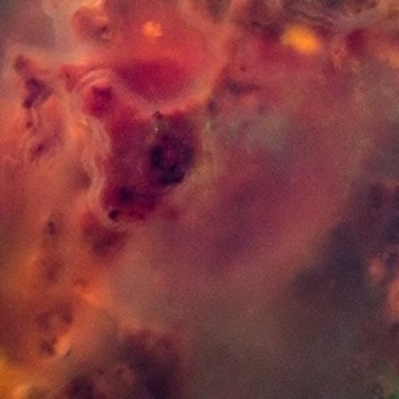 Profile Picture of Alexander Chan (@alexanderchan) on Poshmark