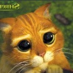 smileyhazeleyes - Instagram Profile Picture of smileyhazeleyes (@smileyhazeleyes) on Instagram