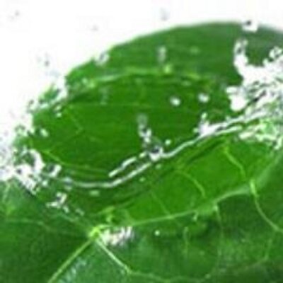 Profile Picture of Violeta Lugo Lugo (@violelugol) on Twitter