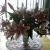 Profile Picture of Phyllis Healey (@patandphyllis) on Pinterest