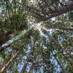 Profile Picture of Jon Cutter (@Jon-Cutter) on Facebook