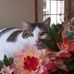 Profile Picture of Donna Bittner (@Donna-Bittner) on Facebook