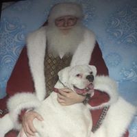 Profile Picture of Barbara Jo Rose-defalco (@barbara-jo-rose-defalco) on Quora