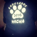 Profile Picture of michael (@micha.caffarelli) on Instagram