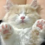 Profile Picture of Carly Winter (@Carly-Winter) on Facebook