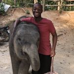 Profile Picture of Stephen L. Anderson (@stephenlanderson) on Instagram