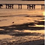 Profile Picture of alex_ballester (@alex_ballester) on Instagram