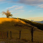 Profile Picture of Redline485 (@redline485) on Flickr