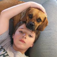 Thomas Sisk - Quora Profile Picture of Thomas Sisk (@thomas-sisk-7) on Quora