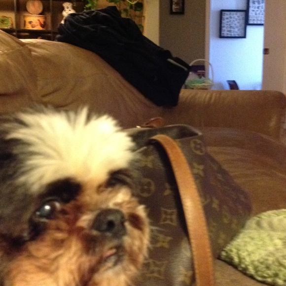 Profile Picture of Kim Stout (@fabfive) on Poshmark